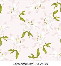 Seamless texture white Lily  a white flower with leaves  vector illustration editable Hand drawn