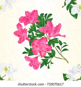 Seamless texture white and pink rhododendron twig mountain shrub vintage  vector illustration editable hand draw