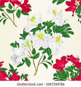 Seamless texture white and red rhododendron twig with flowers and leaves mountain shrub vintage vector editable illustration hand draw 