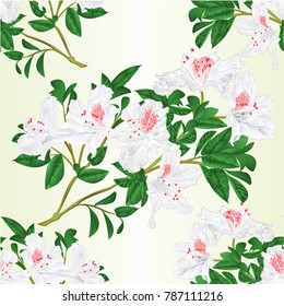 Seamless texture white rhododendron twig with flowers and leaves vintage  vector illustration editable hand draw