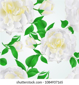 Seamless texture White Rose with buds and leaves vintage  Festive blue background vintage vector illustration  editable hand draw 