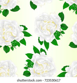 Seamless texture white rose and leaves vintage  festive background vector illustration editable hand draw
