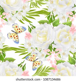 Seamless texture white roses  and buds  and butterfly vintage  festive  white background vector illustration editable hand draw 