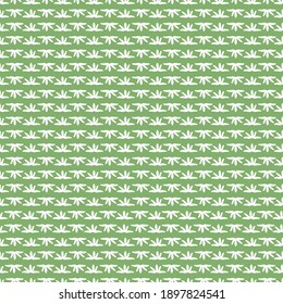 Seamless Texture with White Thyme Leaves on Green Background.