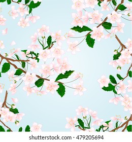 Seamless texture Wild Cherry branch natural background vector illustration
