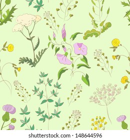 Seamless texture with  Wildflowers