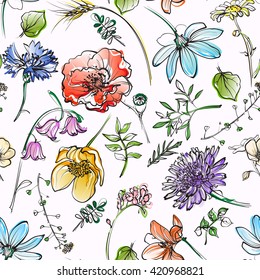  seamless texture with wildflowers, white background, vector illustration, hand drawn