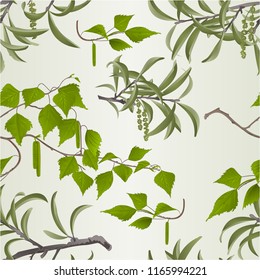 Seamless texture Willow branch with catkins and birch branch natural background vintage vector illustration editable hand draw