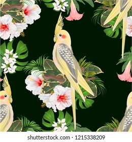 Seamless texture Yellow cockatiel cute tropical bird funny  parrot and white hibiscus watercolor style on a green background vintage vector illustration editable hand draw
