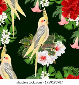 Seamless texture Yellow cockatiel  tropical bird   parrot watercolor style and tropicel flowers hibiscus, Brugmansia vintage vector illustration editable hand draw