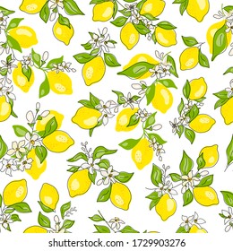 Textura sin foco de limones amarillos, flores, hojas verdes en una rama de árbol. Doodle Fresco, frutas enteras sobre un fondo blanco. Citrus. Estilo minimalista. Línea negra. Ilustración de escritura a mano de vectores.