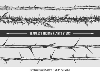 Seamless thorny plants stems vector isolated illustration. Blackberry, thistle, plum, gooseberry. Great graphic element for your tattoo, poster, logo design.