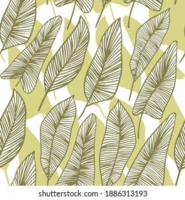 Seamless topical vector pattern with palm leaves. Botanical illustration for print design