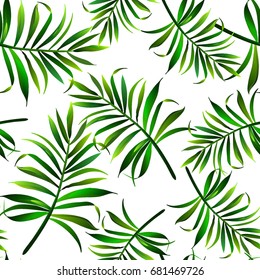 Seamless topical vector pattern with palm leaves. Botanical illustration for print design.