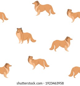 Seamless trendy pattern with collie dog.