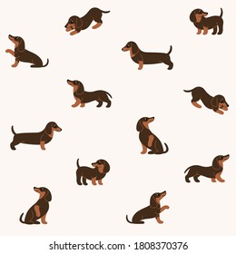 Seamless trendy pattern with style cartoon dachshund.