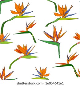 Seamless tropic pattern with exotic flowers paradise Strelitzia isolated on white background. Vector tropical stock illustration. African plant flower. Design textile, wallpaper, fabric, print.