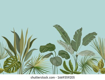 Seamless Tropical Background, Floral Wallpaper Print with Exotic Philodendron Monstera Jungle Leaves, Rainforest Plants, Nature Ornament for Textile or Wrapping Paper, Botanical Vector Illustration