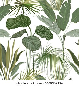 Seamless Tropical Floral Print with Exotic Green Jungle Philodendron Monstera Leaves on White Background. Rainforest Wild Plants Wallpaper Template, Natural Textile Ornament. Vector Illustration