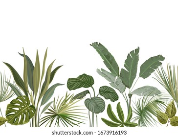 Seamless Tropical Floral Print with Exotic Green Jungle Leaves on White Background. Rainforest Plants Wallpaper Template, Nature Textile Ornament, Philodendron Monstera Flowers Vector Illustration