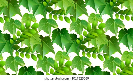 Seamless tropical leaf background for invitation greeting template of Summer. Bright tropical background with jungle plants. Exotic pattern with tropical leaves. Vector illustration.