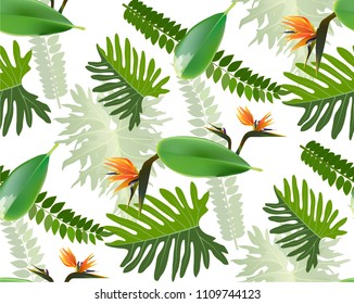 Seamless tropical leaf background for invitation greeting template of Summer. Bright tropical background with jungle plants. Exotic pattern with tropical leaves. Vector illustration.