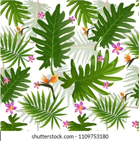 Seamless tropical leaf background for invitation greeting template of Summer. Bright tropical background with jungle plants. Exotic pattern with tropical leaves. Vector illustration.