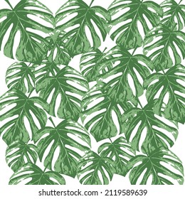 Seamless tropical leaf pattern. Watercolour botanical illustration. Beautiful elegant monstera leaf pattern. For fabric, paper, and other designer