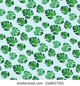Seamless tropical leaf pattern. Watercolour botanical illustration. Beautiful elegant monstera leaf pattern.