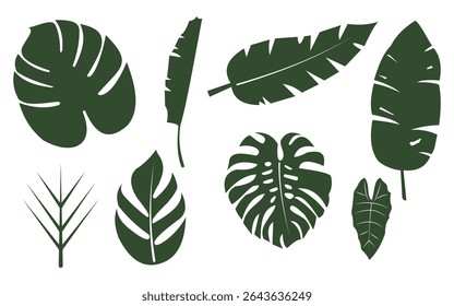seamless, tropical leaves, bird of paradise, pattern, black background, botanical, exotic, design