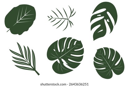 seamless, tropical leaves, bird of paradise, pattern, black background, botanical, exotic, design