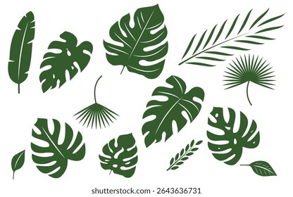 seamless, tropical leaves, bird of paradise, pattern, black background, botanical, exotic, design