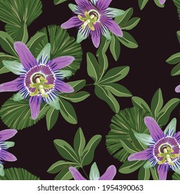 Seamless tropical palm leaves, Passiflora. Jungle leaves vector floral pattern background.