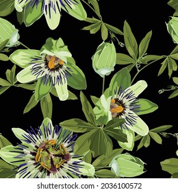 Nahtlose tropische Palmenblätter, Passiflora Blumen. Dschungel Blätter Blumenmuster auf schwarzem Hintergrund.