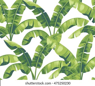 Seamless tropical pattern with banana leaves. Vector illustration.