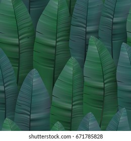 Seamless tropical pattern with banana leaves. Vector illustration. Pastel dark green blue tone.