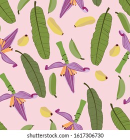 Seamless tropical pattern with banana palms flower and fruit. Vector illustration. Pink background.