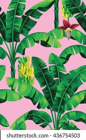 Patrón tropical sin inconvenientes con palmeras de plátano. Ilustración vectorial.