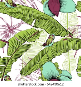 Seamless tropical pattern with banana palms With birds. Vector illustration. Decorative image with tropical foliage, flowers. Objects for decoration, design on advertising