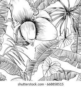 Seamless tropical pattern with banana palms. Vector illustration. coloring book