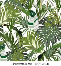 Seamless tropical pattern with exotic leaves.  Abstract background texture.
