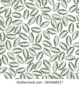 Seamless tropical pattern with exotic leaves.  Abstract background texture.