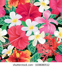 Seamless tropical pattern with hibiscus flowers and plumelia background. Vector set of exotic tropical garden for holiday invitation, greeting card and textile fashion design.