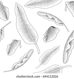 
Seamless tropical pattern with image of a Banana leaves. Vector black and white illustration.