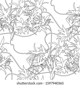 Seamless tropical pattern with leaves .  Graphic vector background.