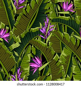 Seamless tropical pattern. Leaves palm tree illustration. Modern graphics. Bird in paradise.
