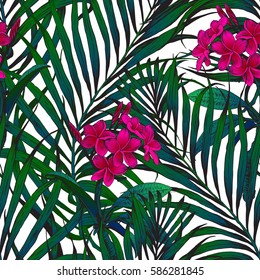 Seamless tropical pattern. Leaves palm tree illustration. Modern graphics. Plumeria flower.