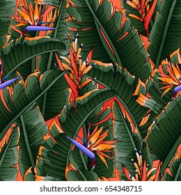 Seamless tropical pattern. Leaves palm tree illustration. Modern graphics.