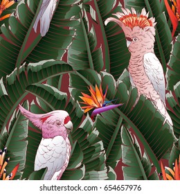 Seamless tropical pattern. Leaves palm tree illustration. Modern graphics. Parrot, cockatoo bird.