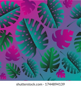 Patrón tropical sin foco. Monstera Leaves